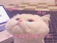 淮安于道思丽商贸有限公司