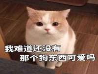 淮安于道思丽商贸有限公司