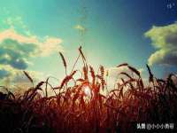 淮安于道思丽商贸有限公司