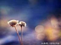 淮安于道思丽商贸有限公司