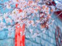 淮安于道思丽商贸有限公司