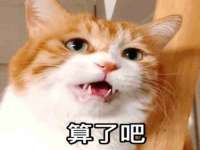 淮安于道思丽商贸有限公司