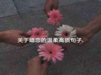 淮安于道思丽商贸有限公司