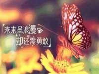 淮安于道思丽商贸有限公司