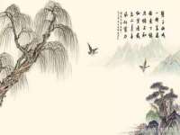 淮安于道思丽商贸有限公司