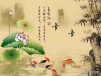 淮安于道思丽商贸有限公司