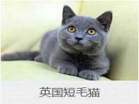 淮安于道思丽商贸有限公司