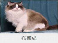 淮安于道思丽商贸有限公司