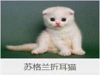 淮安于道思丽商贸有限公司