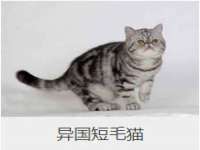 淮安于道思丽商贸有限公司