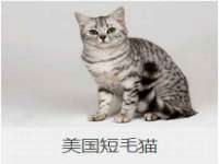 淮安于道思丽商贸有限公司