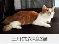 淮安于道思丽商贸有限公司