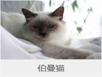 淮安于道思丽商贸有限公司
