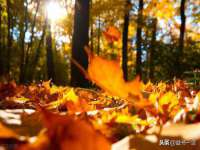 淮安于道思丽商贸有限公司
