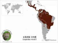 淮安于道思丽商贸有限公司