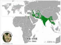淮安于道思丽商贸有限公司