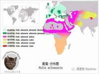 淮安于道思丽商贸有限公司