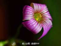 淮安于道思丽商贸有限公司
