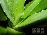 淮安于道思丽商贸有限公司