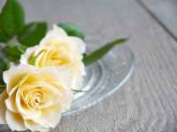 淮安于道思丽商贸有限公司