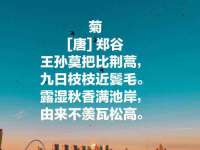 淮安于道思丽商贸有限公司