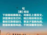 淮安于道思丽商贸有限公司