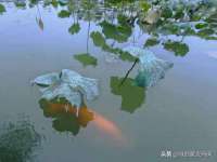 淮安于道思丽商贸有限公司