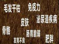 淮安于道思丽商贸有限公司