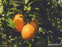 淮安于道思丽商贸有限公司