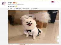 淮安于道思丽商贸有限公司