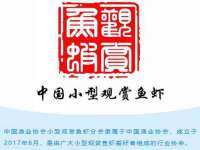 淮安于道思丽商贸有限公司