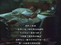 淮安于道思丽商贸有限公司