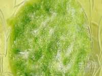 淮安于道思丽商贸有限公司