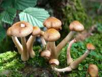 淮安于道思丽商贸有限公司