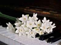 淮安于道思丽商贸有限公司