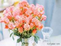 淮安于道思丽商贸有限公司